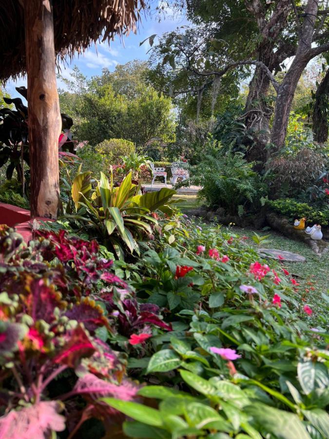 Casa Grimaldo Bed and Breakfast El Valle de Anton Εξωτερικό φωτογραφία