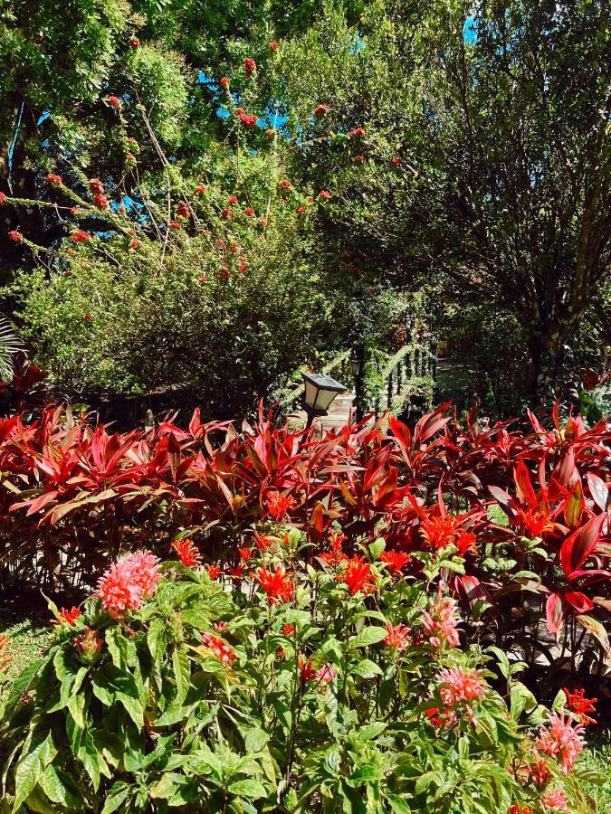 Casa Grimaldo Bed and Breakfast El Valle de Anton Εξωτερικό φωτογραφία